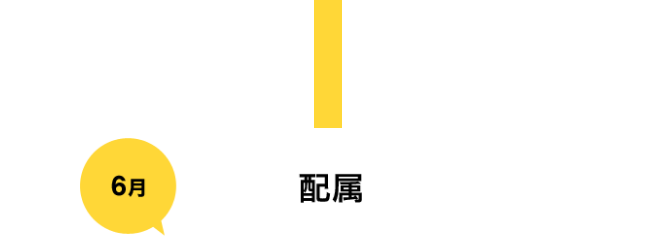 6 z